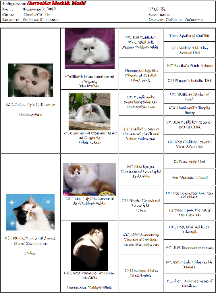 GC CFA Starbabies Moshi & Moshi